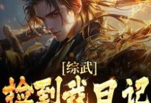 已完结小说《综武:捡到我日记,师娘心凉了》在线章节阅读-红梅文学