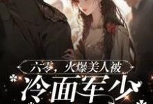 完结版《六零美人有点辣，冷面军少夜夜哄》免费阅读-红梅文学