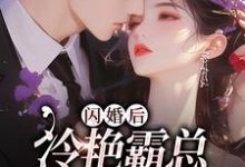 闪婚后,冷艳霸总宠妻无度小说的无弹窗阅读体验,寻找免费阅读网站-红梅文学
