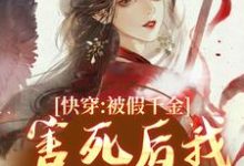 哪里能找到快穿:被假千金害死后我无限闯关小说的最新更新和免费章节?-红梅文学