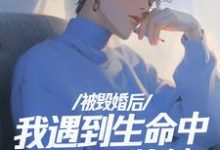 完整版《被毁婚后，我遇到生命中最重要的她》小说免费阅读-红梅文学