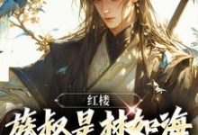 红楼:族叔是林如海,在线当大佬小说的免费电子版在哪里可以下载或阅读?-红梅文学