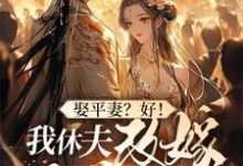 《娶平妻?好!我休夫改嫁王爷给你看》小说免费阅读完整版-红梅文学