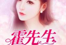 《霍先生,离婚吧》小说大结局免费试读 沈凉霍少天小说-红梅文学