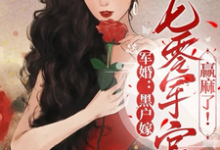 已完结小说《军婚:黑户嫁七零军官赢麻了!》最新章节-红梅文学