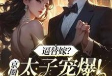 小说《逼替嫁?京圈太子宠爆!全家悔哭》完整版在线章节免费阅读-红梅文学
