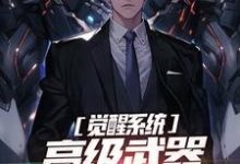 完结版《觉醒系统:高级武器就是买买买》章节阅读-红梅文学