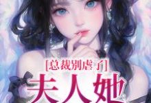 《总裁别虐了,夫人她不要你了》夏星瞳完整版小说免费阅读-红梅文学