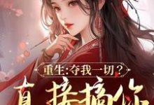 免费在线阅读重生:夺我一切?直接搞你全府小说的正规网站有哪些?-红梅文学