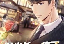 假少爷，疯了，他撂挑子了！这本小说在哪里可以看？哪里有免费试读章节？-红梅文学