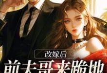 《改嫁后,前夫哥来跪地痛哭求原谅》小说大结局免费试读 林绵绵沈陆晟小说-红梅文学