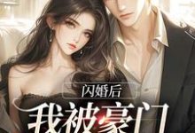 小说《闪婚后,我被豪门老伴宠上天》完整版章节免费阅读-红梅文学