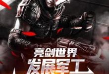 亮剑世界：发展军工我帮李云龙高升完整版小说免费阅读，亮剑世界：发展军工我帮李云龙高升小说-红梅文学