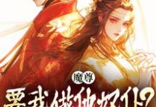 完整版小说《魔尊要我做他奴仆?衣服给他炸了!》免费阅读-红梅文学