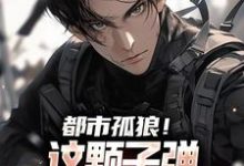 都市孤狼!这颗子弹为何如此狂野这本小说完结了吗?免费查看最新章节-红梅文学
