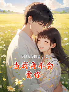 完结版《当我再不会爱你》章节阅读