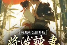 残疾相公翻身后,将泼辣妻宠上天司念沐修年,残疾相公翻身后,将泼辣妻宠上天小说免费阅读-红梅文学