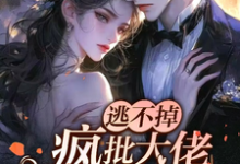 小说《逃不掉!疯批大佬强娶小傻妻!》在线章节阅读-红梅文学