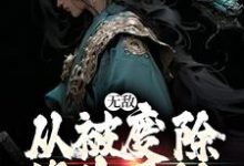 无敌,从被废除修为开始小说最新更新在哪里?免费在线看-红梅文学