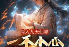 楚云小说闯入九天仙界,一不小心成了仙王章节免费阅读-红梅文学