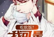 吃软饭?我可是千古医圣最新章节,吃软饭?我可是千古医圣免费阅读-红梅文学