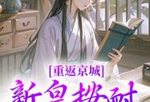 小说《重返京城,新皇按耐不住了!》章节免费阅读-红梅文学