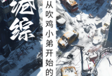 港综:从吹鸡小弟开始的称霸之路完整版小说,港综:从吹鸡小弟开始的称霸之路免费阅读-红梅文学