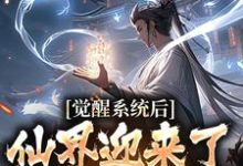 林夜小说《觉醒系统后,仙界迎来了互联网时代》完整版免费阅读-红梅文学