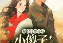 嫁给兵哥哥后,小傻子她福气满满小说无弹窗阅读的网站推荐-红梅文学