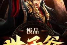 完结版《极品世子爷》章节目录在线阅读-红梅文学