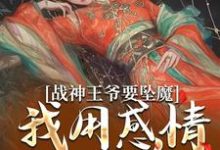 战神王爷要坠魔,我用感情拯救他苏婉清陆少卿小说大结局免费试读-红梅文学