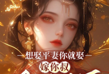 求想娶平妻你就娶,嫁你叔凤临天下小说免费资源-红梅文学