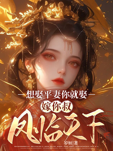 求想娶平妻你就娶，嫁你叔凤临天下小说免费资源