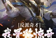 陈宁夜楚天一小说叫什么(反派奇才:我骨骼惊奇被天道相中完整版免费阅读)-红梅文学