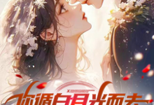 赵文完整版小说免费阅读-红梅文学