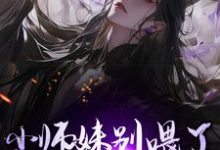 寻找能够免费阅读小师妹别喂了,宗门已无敌!小说的平台-红梅文学