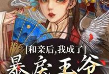 小说《和亲后,我成了暴戾王爷的心尖宠》章节免费阅读-红梅文学