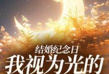 《结婚纪念日,我视为光的老公出轨了》小说免费阅读完整版-红梅文学