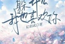 顾肆一武云云小说叫什么(躲什么,我也喜欢你完整版免费阅读)-红梅文学
