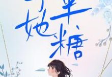 予她半糖(朝暮岁聿)完整版在线免费阅读-红梅文学