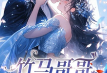 林思弈涂木木小说免费阅读完整版-红梅文学