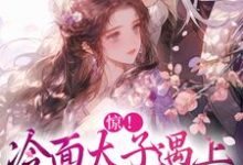 已完结小说《惊!冷面太子遇上刁蛮女杀手》在线章节阅读-红梅文学