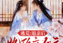 《逃荒:退亲后,她改立女户招赘婿》全集免费在线阅读(许知意沈无忧)-红梅文学