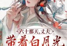 《六十那天,丈夫带着白月光回府了》宋瑛完整版小说免费阅读-红梅文学