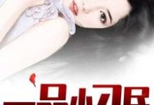 已完结小说《一品小刁民》章节在线阅读-红梅文学