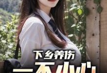 完整版的下乡养伤,一不小心带村致富了小说在哪里可以免费读到?-红梅文学