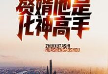 哪里能找到赘婿他是化神高手小说的最新更新和免费章节？-红梅文学