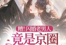 小说《糟!闪婚老男人竟是京圈太子爷》完整版在线章节免费阅读-红梅文学
