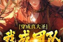 穿成真大圣,我成团队香饽饽小说完结版章节免费阅读-红梅文学
