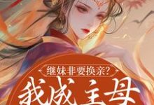 继妹非要换亲?我成主母她悔哭了小说有没有完结版在线?-红梅文学